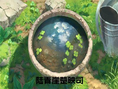 小说陆青崖楚映司（陆青崖楚映司小说免费阅读）完结阅读，陆青崖楚映司在线阅读