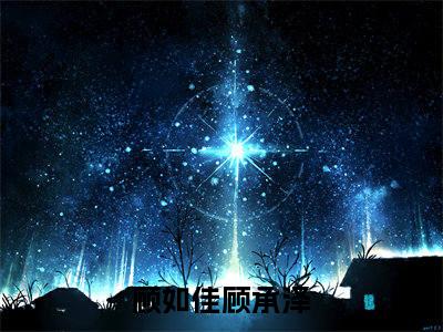 小说（顾如佳顾承泽）免费阅读-小说（顾如佳顾承泽）无弹窗大结局 顾如佳顾承泽全文在线赏析最新章节列表_笔趣阁