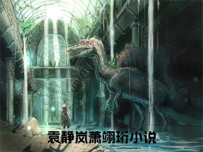袁静岚萧翊珩全文免费阅读_（袁静岚萧翊珩免费阅读无弹窗）袁静岚萧翊珩最新章节列表