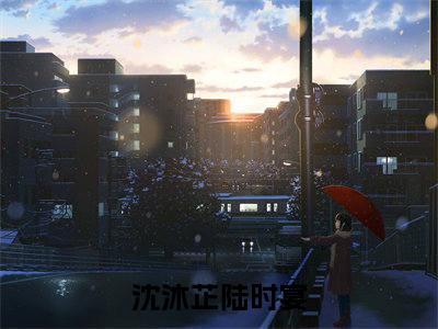 沈沐芷陆时宴（沈沐芷陆时宴）免费阅读-沈沐芷陆时宴小说免费观看