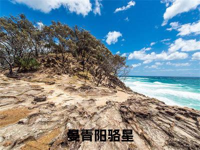 晏青阳骆星全集免费阅读无弹窗_晏青阳骆星完结小说榜单阅读（晏青阳骆星小说）