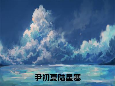 星光落入夏夜时（尹初夏陆星寒）全文免费在线阅读_星光落入夏夜时全文免费阅读无弹窗大结局