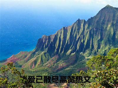 爱已散尽在线阅读（叶之天秦亦晴）全文免费阅读_叶之天秦亦晴最新章节列表_笔趣阁