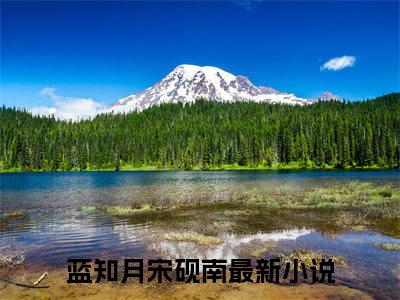 蓝知月宋砚南推荐免费新书，蓝知月宋砚南小说试读