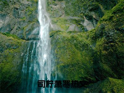司柠萧寒（司柠萧寒)全文免费阅读无弹窗大结局_司柠萧寒全文免费阅读_笔趣阁（司柠萧寒）