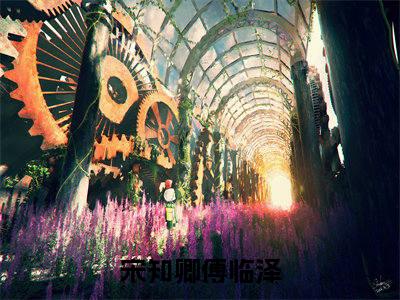 小说名字是：宋知卿傅临泽的小说全文免费阅读-（宋知卿傅临泽小说免费阅读）宋知卿傅临泽正版小说免费阅读_笔趣阁