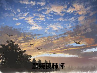颜婉夜林怀（颜婉夜林怀）全文在线阅读无弹窗大结局_（颜婉夜林怀）颜婉夜林怀最新章节列表_笔趣阁（颜婉夜林怀）
