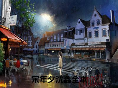 宋年夕沈鑫小说（宋年夕沈鑫）全文免费阅读无弹窗大结局_宋年夕沈鑫全文免费完结版阅读（宋年夕沈鑫）