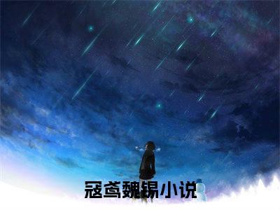 寇鸢魏锡小说讲的是什么-寇鸢魏锡精彩章节目录观看