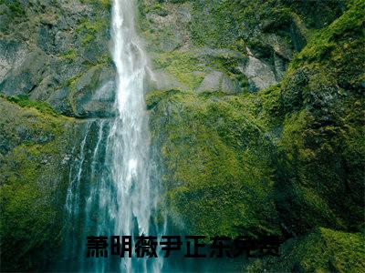 萧明薇尹正东精选言情小说- 萧明薇尹正东全文在线阅读