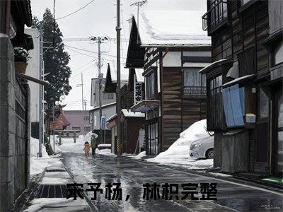 宋予杨，林枳小说(宋予杨，林枳)全文免费阅读_宋予杨，林枳（宋予杨，林枳）最新章节完整版免费阅读（宋予杨，林枳）
