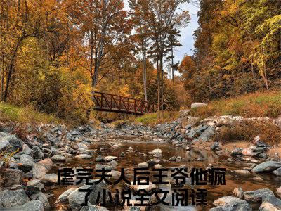 宋怜沈聿在线阅读（虐完夫人后王爷他疯了）全文免费阅读无弹窗大结局_（宋怜沈聿全文免费阅读）最新章节列表