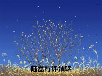 许清端陆嘉行（陆嘉行许清端）全文免费阅读无弹窗大结局_陆嘉行许清端全文免费阅读_笔趣阁（许清端陆嘉行）
