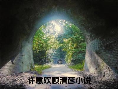 许意欢顾清彦小说大结局免费阅读（许意欢顾清彦）-完结版许意欢顾清彦小说免费阅读