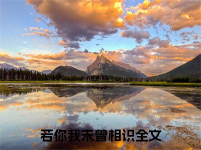 宋婧郁庭至小说（若你我未曾相识）全文免费阅读无弹窗大结局_若你我未曾相识最新章节列表