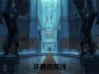 许君夜陈浅全文免费阅读 许君夜陈浅章节免费阅读