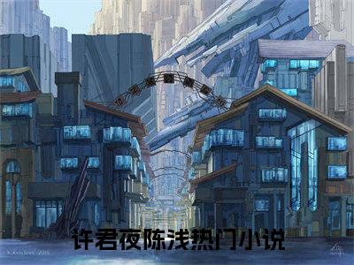 许君夜陈浅小说完整版全文在线赏析-完结版小说（许君夜陈浅）