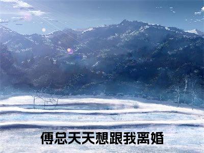 林婉姝傅桓之在线阅读（傅总天天想跟我离婚）全文免费阅读无弹窗大结局_傅总天天想跟我离婚最新章节列表笔趣阁（林婉姝傅桓之）