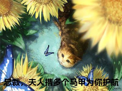 总裁，夫人携多个马甲为你护航（白苓傅琛）全文免费阅读无弹窗大结局_（总裁，夫人携多个马甲为你护航）白苓傅琛最新章节列表_笔趣阁