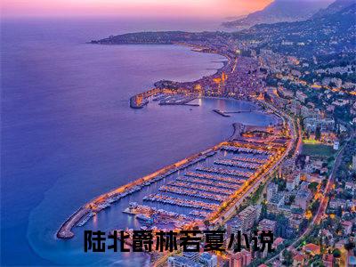 小说陆北爵林若夏完整版在线阅读替身罪妻，陆总别追了精选小说推荐试读