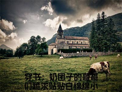 穿书：奶团子的哥哥们跪求贴贴白绵绵（穿书：奶团子的哥哥们跪求贴贴白绵绵）全文阅读-（穿书：奶团子的哥哥们跪求贴贴白绵绵）小说免费阅读最新章节