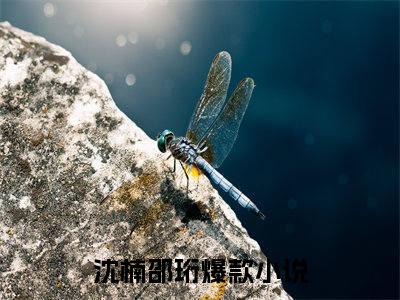 沈楠邵珩（沈楠邵珩）全文免费阅读无弹窗大结局_沈楠邵珩免费阅读最新章节列表_笔趣阁