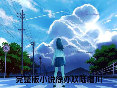 （徐亦欢陆檀川）小说全文免费阅读-微小说（徐亦欢陆檀川）完整版阅读
