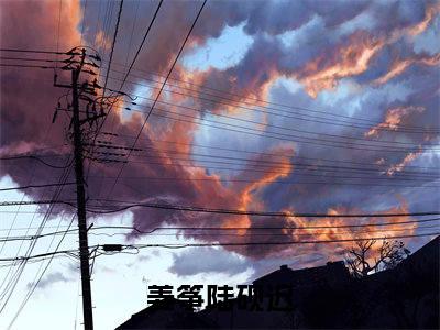 姜筝陆砚迟小说（姜筝陆砚迟）全文免费阅读无弹窗-姜筝陆砚迟最新章节列表-笔趣阁