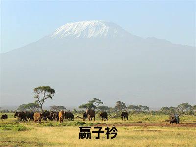 嬴子衿全文免费阅读无弹窗大结局_ (神算者归来)嬴子衿热门章节在线阅读笔趣阁（神算者归来）