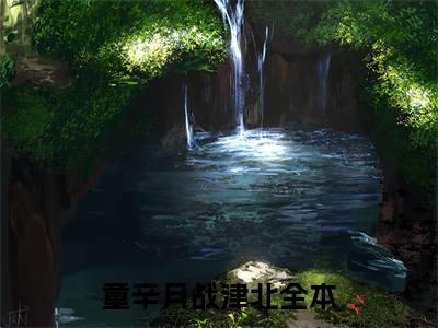 童辛月战津北(童辛月战津北)精彩美文-童辛月战津北免费阅读
