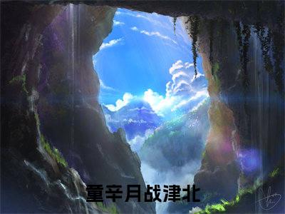 童辛月战津北全文免费大结局小说-童辛月战津北全文最新章节阅读