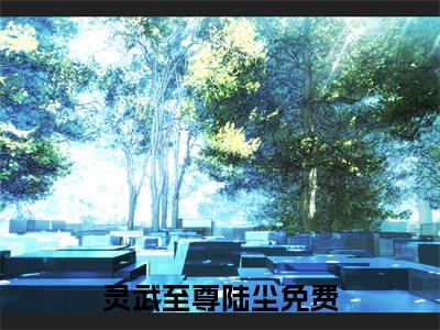 灵武至尊陆尘小说最新章节免费阅读-灵武至尊陆尘小说全文无删减版