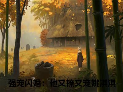 强宠闪婚：他又撩又宠姚淇淇全文免费阅读（强宠闪婚：他又撩又宠姚淇淇无弹窗大结局）_强宠闪婚：他又撩又宠姚淇淇全文免费阅读