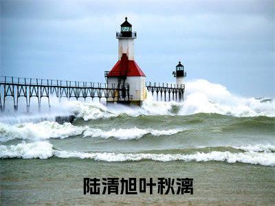 (热推新书)陆清旭叶秋漓全文免费阅读无弹窗大结局-陆清旭叶秋漓最新章节列表_笔趣阁（陆清旭叶秋漓）