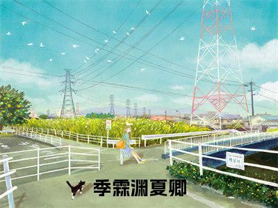 季霖渊夏卿小说免费阅读 季霖渊夏卿免费阅读无广告