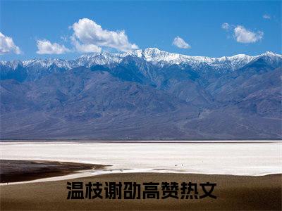 主角是温枝谢劭的小说-精选热门小说（温枝谢劭）