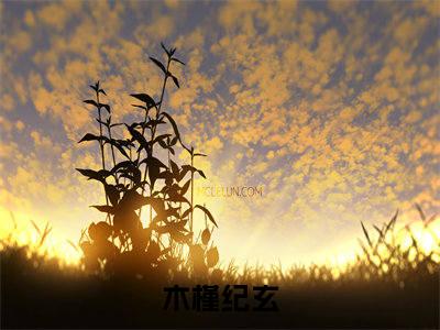 木槿纪玄（通房丫鬟死遁后，世子爷疯了）全文免费阅读无弹窗大结局_（木槿纪玄免费阅读全文大结局）最新章节列表