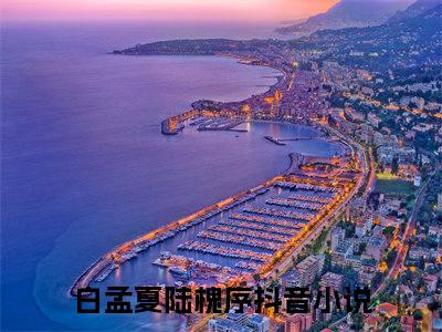 白孟夏陆槐序（白孟夏陆槐序）小说结局-白孟夏陆槐序全文无弹窗阅读