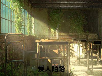 温孟圆陆万州在线阅读（爱人陌路）全文免费阅读无弹窗大结局_爱人陌路免费最新章节列表