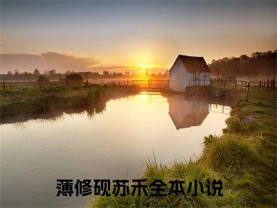 薄修砚苏禾（薄修砚苏禾）全文免费阅读无弹窗大结局_薄修砚苏禾免费阅读最新章节列表_笔趣阁