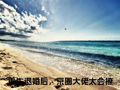 宋安饶祁屿墨全本资源免费阅读结局无删节-重生退婚后，京圈大佬太会撩小说全文阅读无弹窗（宋安饶祁屿墨）
