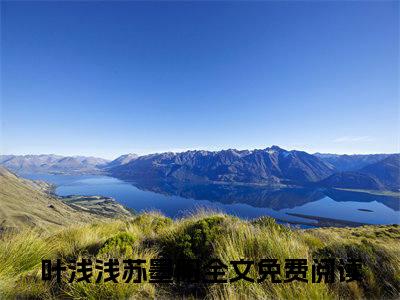叶浅浅苏墨阳（穿书：首辅家的恶毒原配是神医）小说全文免费阅读无弹窗_（穿书：首辅家的恶毒原配是神医）叶浅浅苏墨阳小说全文免费阅读最新章节列表笔趣阁