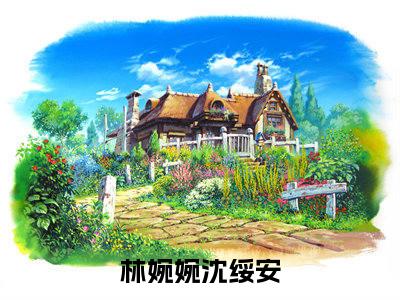 林婉婉沈绥安小说最后结局-林婉婉沈绥安完结版免费阅读