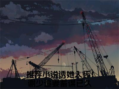 谢策温迎（诱她入怀！谢少追妻蓄谋已久）全文免费阅读无弹窗完整版，（谢策温迎）免费阅读全文最新章节列表_笔趣阁
