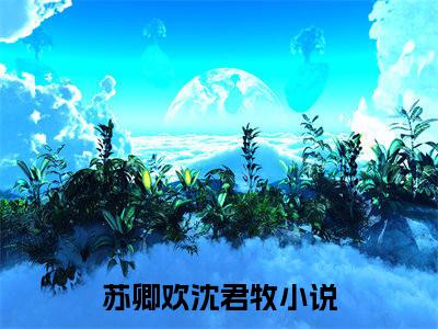 苏卿欢沈君牧是什么小说-（苏卿欢沈君牧全文阅读）最新章节列表