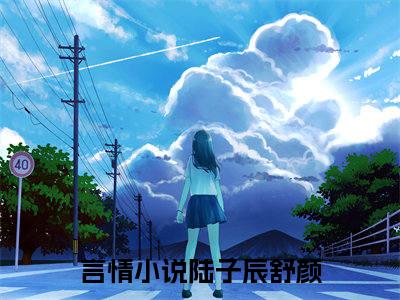 陆子辰舒颜爽文免费阅读完整版-陆子辰舒颜阅读大结局陆子辰舒颜