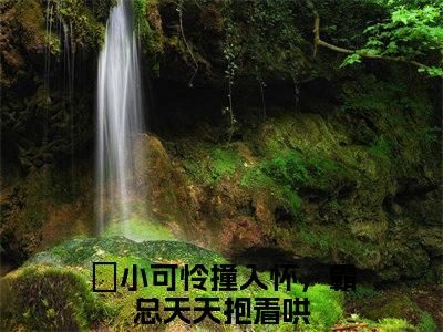 宋琦琦孙熠柠全文免费阅读_小可怜撞入怀，霸总天天抱着哄（宋琦琦孙熠柠）小说在线阅读最新章节列表笔趣阁