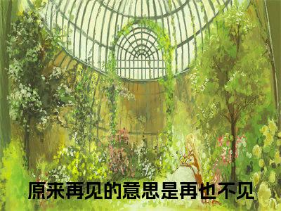 原来再见的意思是再也不见邓熙妍靳莫言小说全文无广告阅读-原来再见的意思是再也不见小说赏析邓熙妍靳莫言