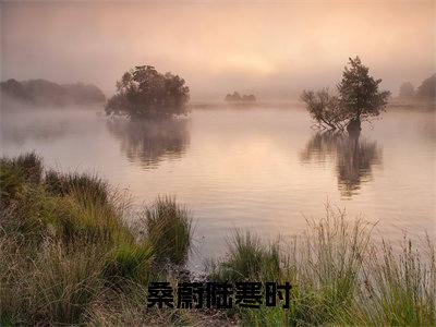 桑蔚陆寒时精选小说大结局阅读-最新小说(桑蔚陆寒时)全文阅读
