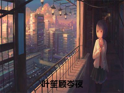 叶笙顾岑夜全本资源免费阅读结局无删节-叶笙顾岑夜小说全文阅读无弹窗
